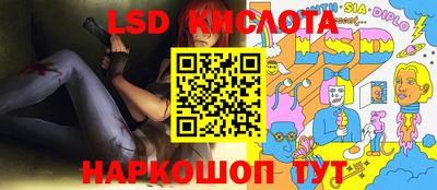 индика Гусев