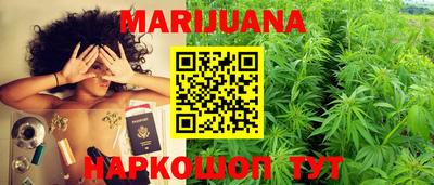 индика Гусев