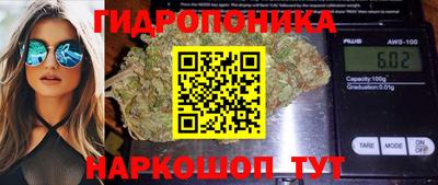 индика Гусев