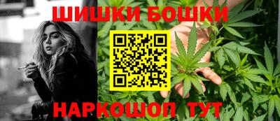 индика Гусев