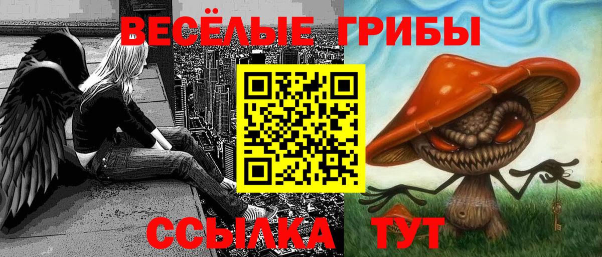 LSD-25 Менделеевск